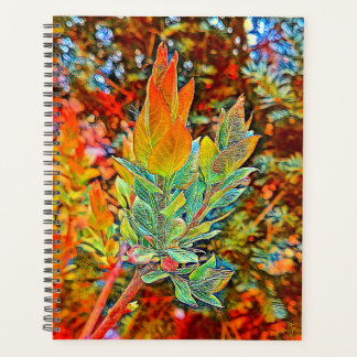 Agenda Plano diario de cubierta dura