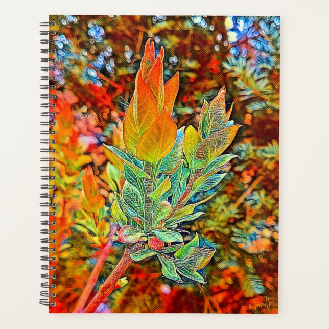 Agenda Plano diario de cubierta dura (Anverso)