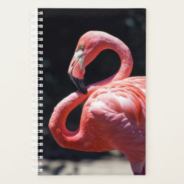Agenda Plano semanal/mensual de Flamingo