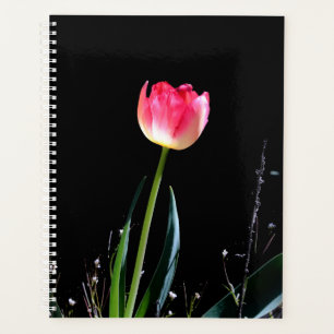 Agenda Plano tulipán de primavera