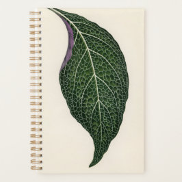 Agenda Planta Botanic Mom Dad