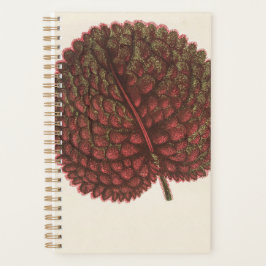 Agenda Planta de regalo de jardín de cumpleaños 2022