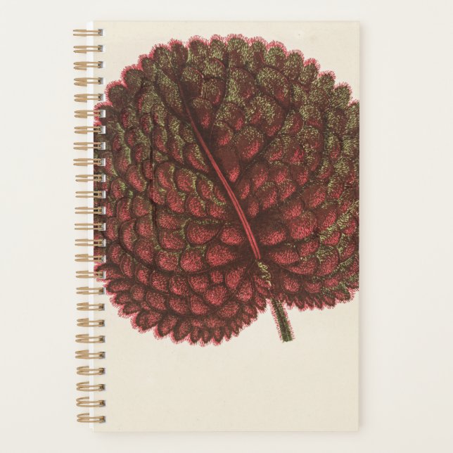 Agenda Planta de regalo de jardín de cumpleaños 2022 (Anverso)