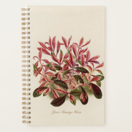 Agenda Planta Mom Gardener Dad 2022