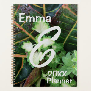 Agenda Plantas del Planner, Croton Coleus