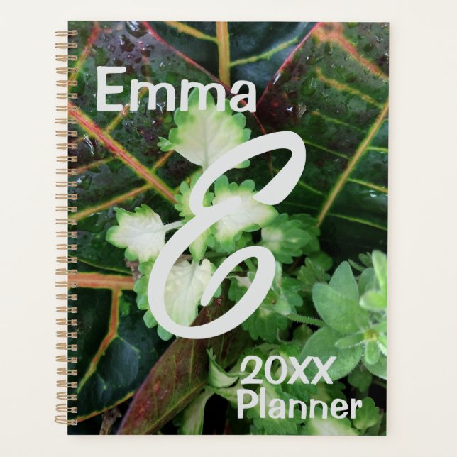 Agenda Plantas del Planner, Croton Coleus (Anverso)