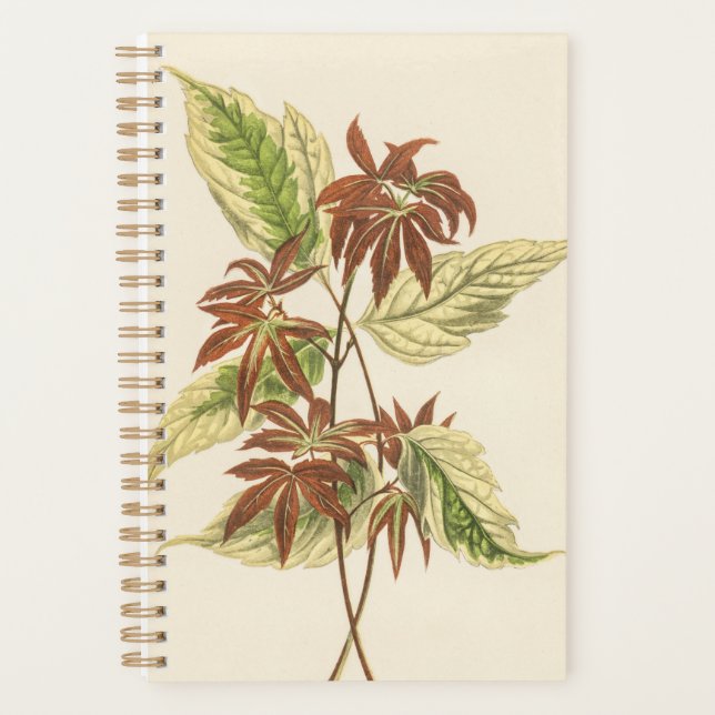 Agenda Plantas Mamá Papá Cumpleaños Botánico (Anverso)