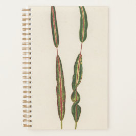 Agenda Plantas Regalo de jardinero romántico de mamá papá