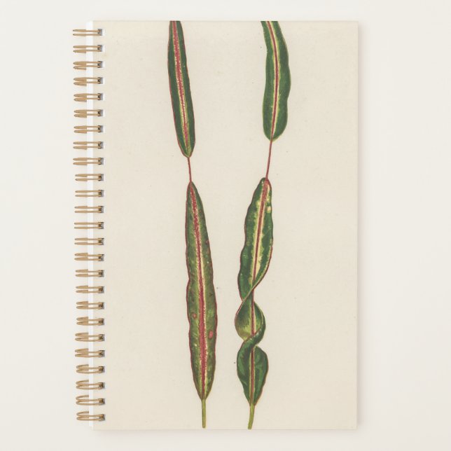 Agenda Plantas Regalo de jardinero romántico de mamá papá (Anverso)