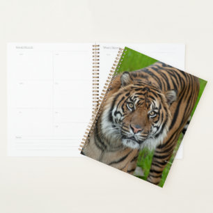 Agenda plantilla