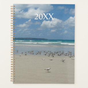 Agenda Playa con gaviotas
