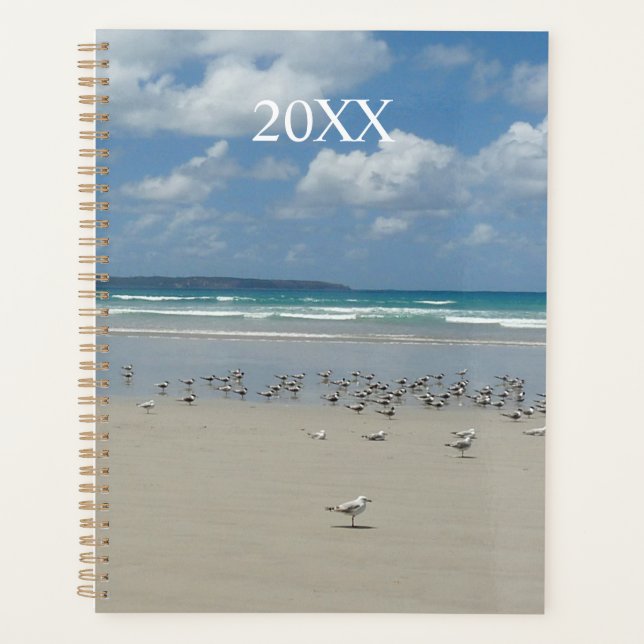 Agenda Playa con gaviotas (Anverso)