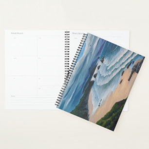 Agenda Playa de Cannon