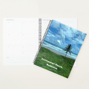 Agenda Playa de Cattlewash
