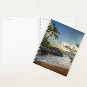 Agenda Playa de Makena   Makena Cove
