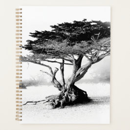 Agenda PLAYA TREE Planner