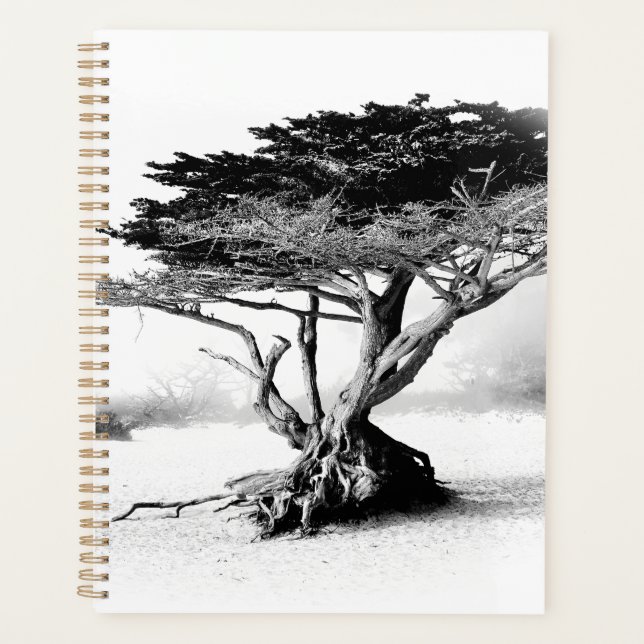 Agenda PLAYA TREE Planner (Anverso)