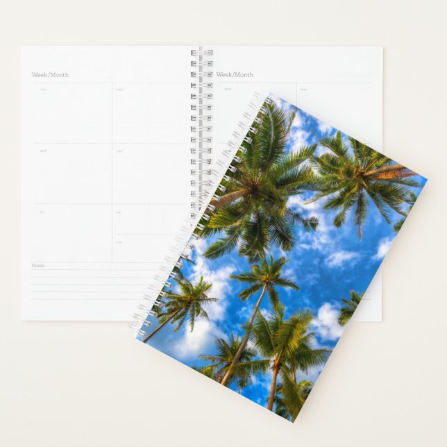 Agenda Playas tropicales | Palmeras en cielo azul (Demostración)