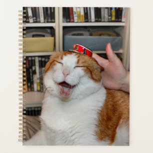 Agenda Podgy Scarlett