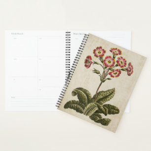 Agenda Polianuro de Vintage
