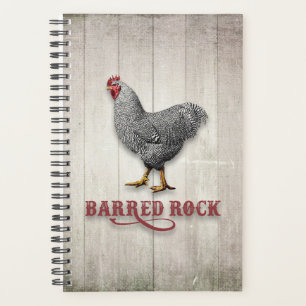 Agenda Pollo de rock barrido
