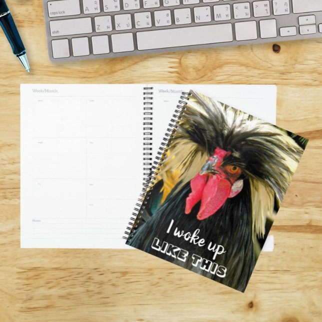 Agenda Pollo Divertido Pelo Malo Meme (In Situ)