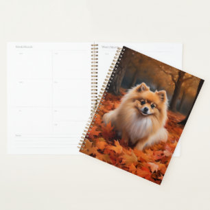 Agenda Pomerania en Otoño Las Hojas Caídas Inspiran