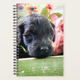 Agenda Portuguese Water Dog Planner Sweet