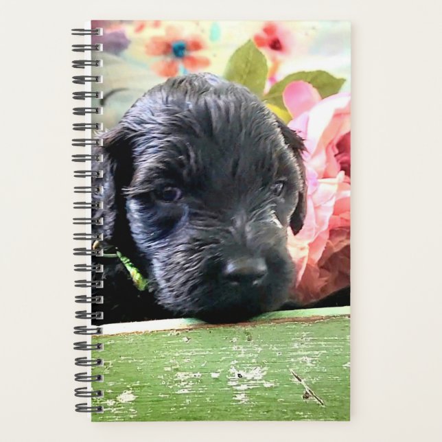 Agenda Portuguese Water Dog Planner Sweet (Anverso)