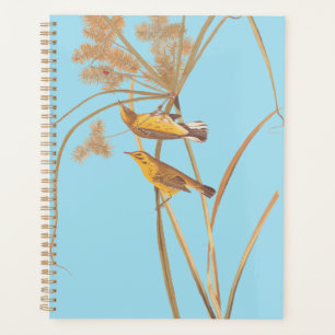 Agenda Prairie Warbler Audubon Ave Amarilla