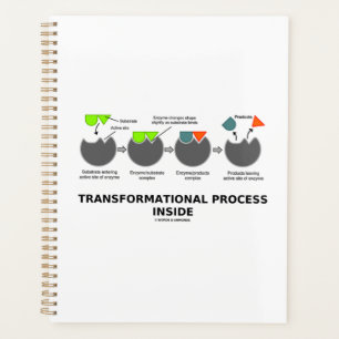 Agenda Proceso de transformación dentro del sustrato enzi