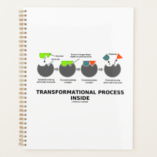 Agenda Proceso de transformación dentro del sustrato enzi
