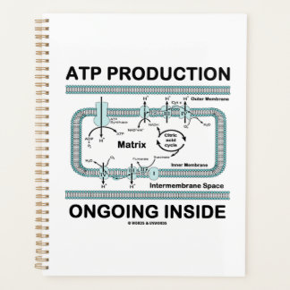 Agenda Producción de ATP en curso dentro de la mitocondri