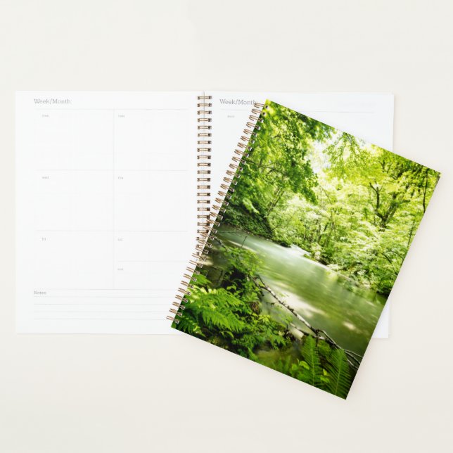 Agenda Profundo en el bosque (Demostración)