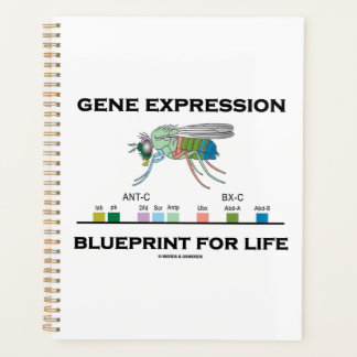 Agenda Programa De Expresión Genética Para Genes Homeobox