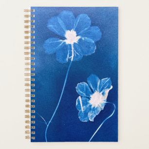 Agenda Programa/Plano de flores de Cosmos para pequeños c
