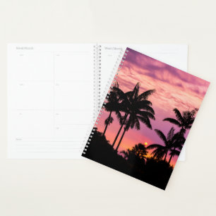 Agenda Puesta de sol a través de palmeras