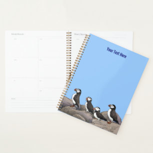 Agenda Puffins atlánticos