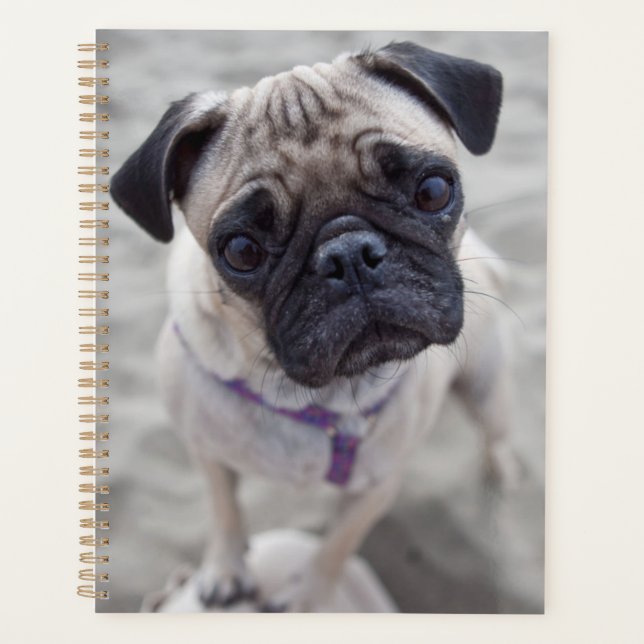 Agenda Pug Closeup (Anverso)
