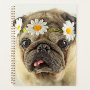 Agenda Pug con la corona de margarita
