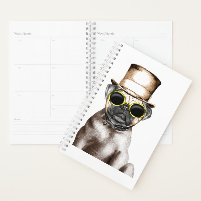 Agenda Pug De Vapor Realmente Cuidado Con Gafas (Demostración)