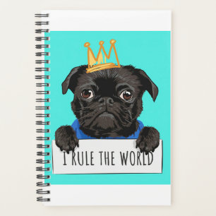 Agenda Pug I Gobierna El Regalo Mundial, Gracioso Regalo 
