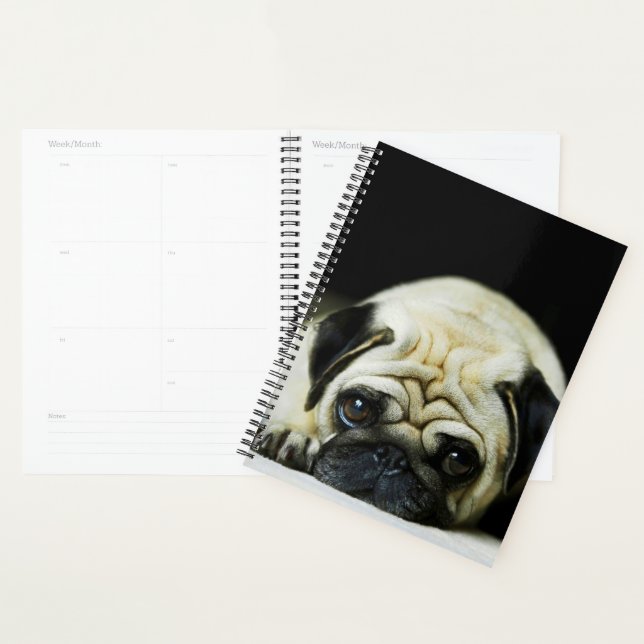 Agenda Pug Puppy (Demostración)