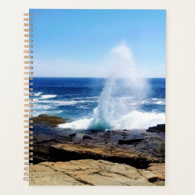 Agenda Punto escolar (Anverso)