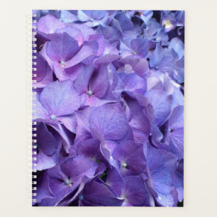Agenda Púrpura Hydrangea Floral