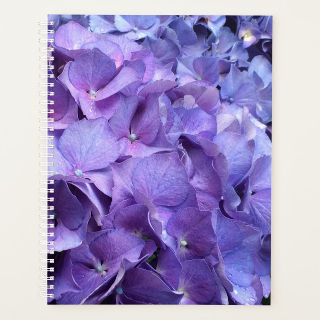 Agenda Púrpura Hydrangea Floral (Anverso)