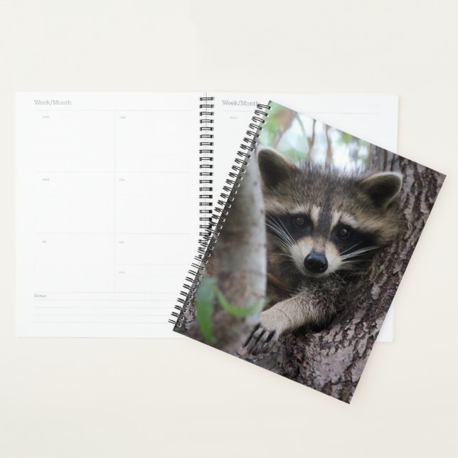 Agenda Raccoon (Demostración)