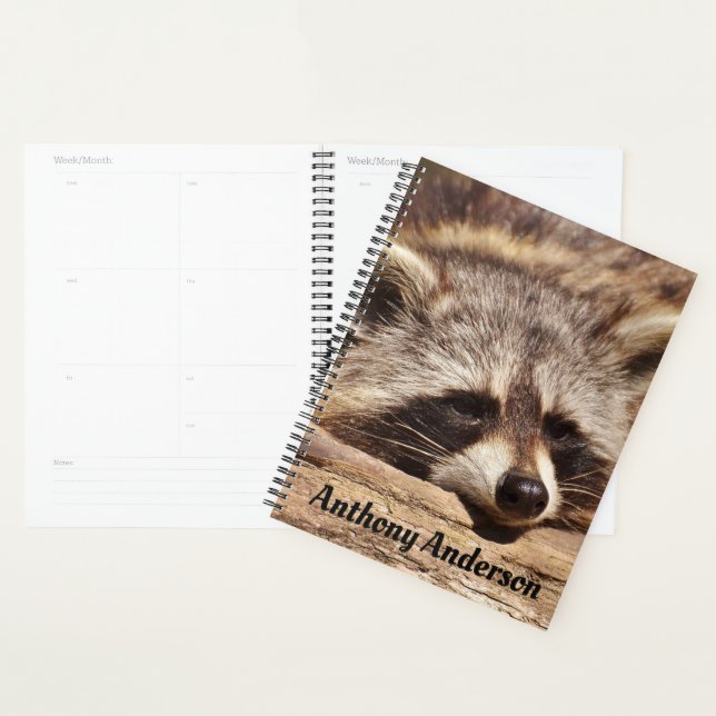 Agenda Raccoon (Demostración)