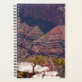 Agenda Rafinesque Watches