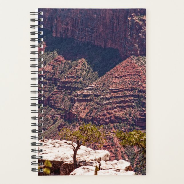 Agenda Rafinesque Watches (Anverso)